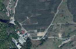 Teren intravilan 6500 mp in zona Wonderland, cu front la strada de 37 m