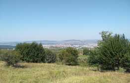 Teren intravilan 6500 mp in zona Wonderland, cu front la strada de 37 m