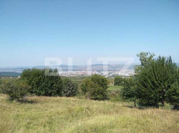 Teren de vânzare Făget - 40982TV | BLITZ Cluj-Napoca | Poza3