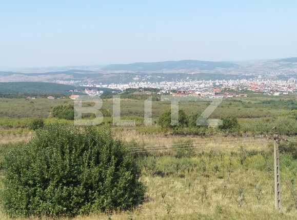 Teren de vânzare Făget - 40982TV | BLITZ Cluj-Napoca | Poza1