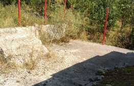 Oportunitate comerciala cu pozitionare buna, 250 mp, zona Terapia