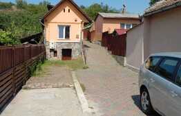 Oportunitate comerciala cu pozitionare buna, 250 mp, zona Terapia