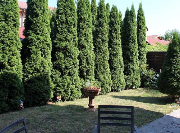 Casa de vânzare 5 camere Bună Ziua - 40994CV | BLITZ Cluj-Napoca | Poza19