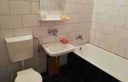 Garsoniera 30 mp, pet friendly, zona strazii Aleea Negoiu