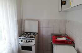 Garsoniera 30 mp, pet friendly, zona strazii Aleea Negoiu