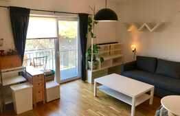 Apartament 2 camere, prima inchiriere, zona strazii Stejarului!