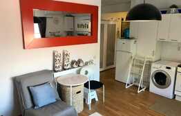 Apartament 2 camere, prima inchiriere, zona strazii Stejarului!