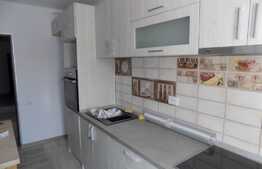Apartament lux, partial mobilat, 2 camere decomandat 60 mp, zona Terra
