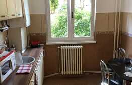 Apartament 3 camere, mobilat si utilat, garaj, zona Casa Radio