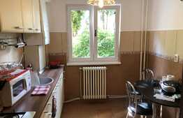 Apartament 3 camere, mobilat si utilat, garaj, zona Casa Radio