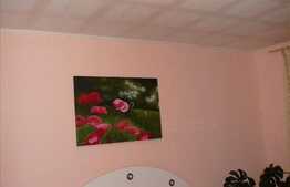 Un apartament cu 3 camere la pret extrem de bun!