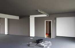 Spatiu comercial excelent, 174 mp, Vad foarte bun