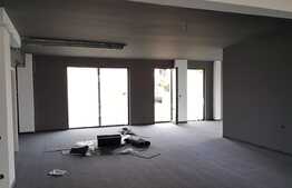 Spatiu comercial excelent, 174 mp, Vad foarte bun