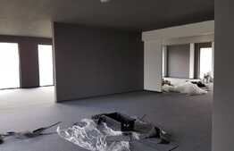 Spatiu comercial excelent, 174 mp, Vad foarte bun