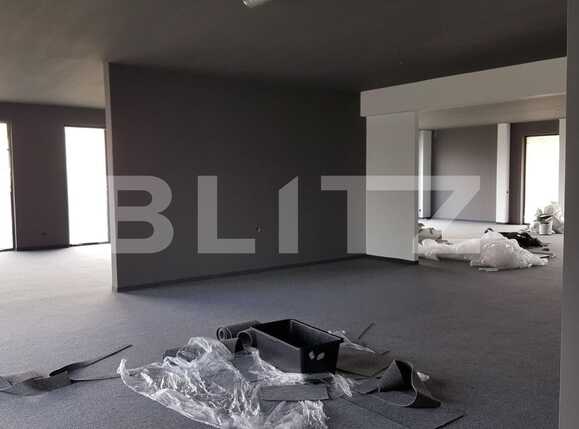 Spațiu comercial de închiriat Bună Ziua - 41069SIC | BLITZ Cluj-Napoca | Poza5