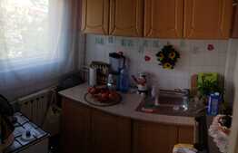 Garsoniera, 26 mp, zona Pasteur