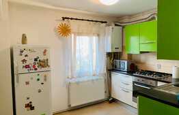 Apartament cu 2 camere, decomandate, mobilat modern, pet friendly, zona strazii Pasteur 