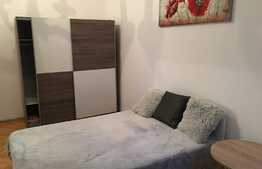 Apartament 2 camere, finisat, mobilat, utilat, 55 mp, zona Garii