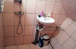 Esti in cautarea unei garsoniere dar iti doresti si putina curte?