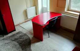 Esti in cautarea unei garsoniere dar iti doresti si putina curte?