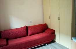 Esti in cautarea unei garsoniere dar iti doresti si putina curte?