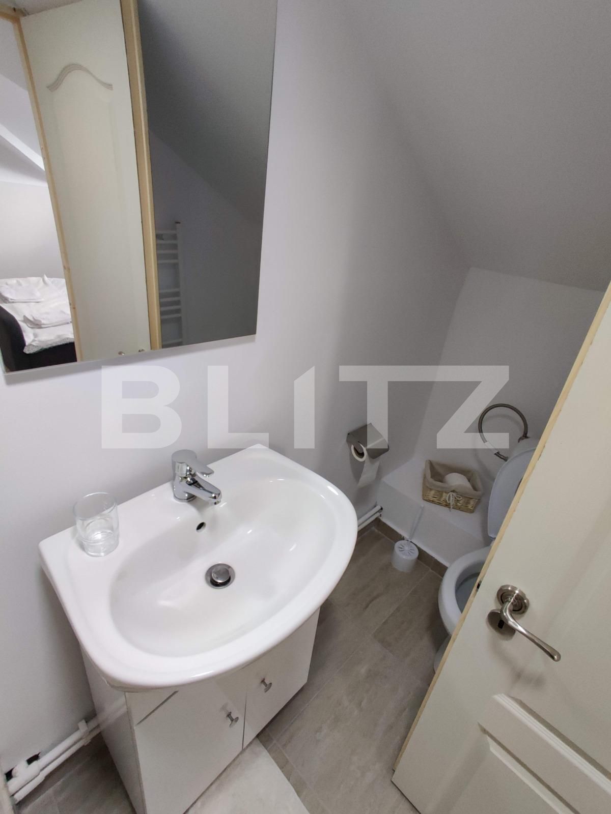 Apartament de închiriat 4 camere Dambul Rotund - 41124AI | BLITZ Cluj-Napoca | Poza9