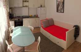 Apartament 1 camera la cheie 42 mp, etaj intermediar, zona Romul Ladea