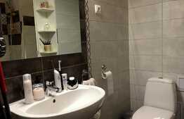 Apartament 1 camera la cheie 42 mp, etaj intermediar, zona Romul Ladea