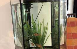 Apartament 3 camere, 95 mp, garaj, zona strazii Mircea Eliade