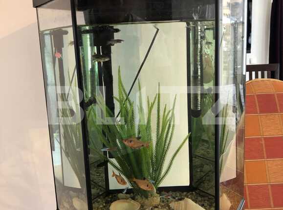 Apartament de închiriat 3 camere Zorilor - 41128AI | BLITZ Cluj-Napoca | Poza7