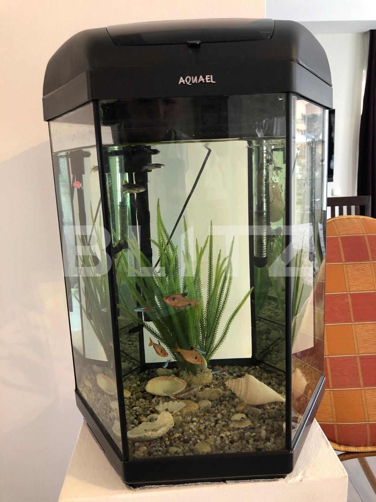 Apartament de închiriat 3 camere Zorilor - 41128AI | BLITZ Cluj-Napoca | Poza7