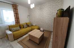 2 camere, 40 mp, parcare, zona Stejarului