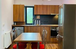 Apartament 2 camere, 50 mp, modern, parcare, zona Regionala CFR