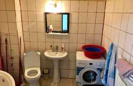 Apartament la mansarda, PET FRIENDLY, loc parcare, zona Florilor!