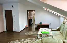 Apartament la mansarda, PET FRIENDLY, loc parcare, zona Florilor!