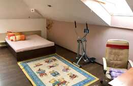 Apartament la mansarda, PET FRIENDLY, loc parcare, zona Florilor!