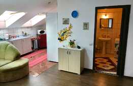 Apartament la mansarda, PET FRIENDLY, loc parcare, zona Florilor!