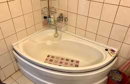 Apartament la mansarda, PET FRIENDLY, loc parcare, zona Florilor!