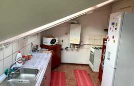 Apartament la mansarda, PET FRIENDLY, loc parcare, zona Florilor!