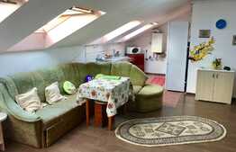 Apartament la mansarda, PET FRIENDLY, loc parcare, zona Florilor!