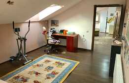 Apartament la mansarda, PET FRIENDLY, loc parcare, zona Florilor!