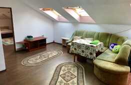 Apartament la mansarda, PET FRIENDLY, loc parcare, zona Florilor!