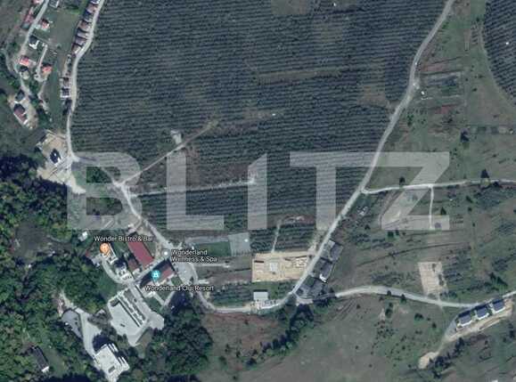 Teren de vânzare Făget - 41152TV | BLITZ Cluj-Napoca | Poza1