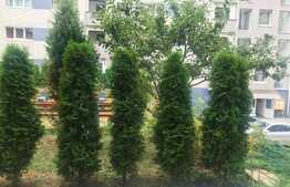 Garsoniera decomandata, 40 mp, loc de parcare, Calea Turzii