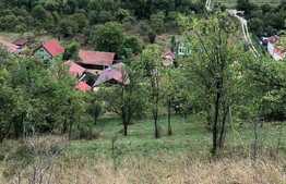 Casa individuala de 100 mp utili cu 3300 mp de teren in Suceagu