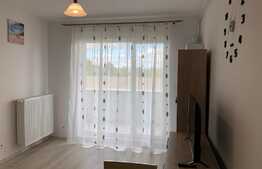 Apartament 2 camere, semidecomandat, 40 mp, zona Calea Turzii