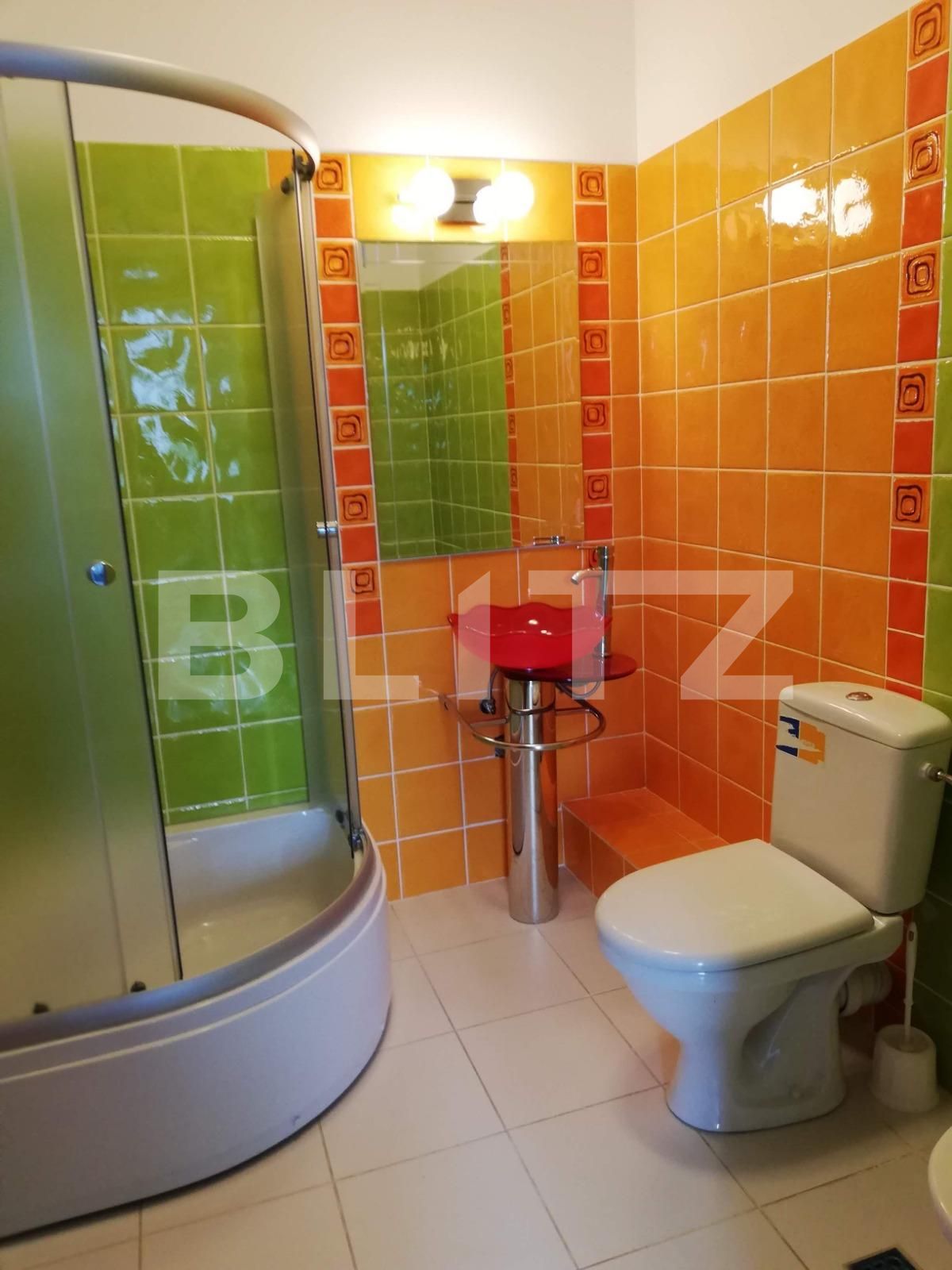 Casa de închiriat 8 camere Gheorgheni - 41171CI | BLITZ Cluj-Napoca | Poza14
