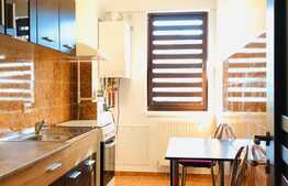 Apartament 1 camera, 40mp, terasa generoasa, zona strazii Eugen Ionesco