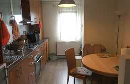Apartament 3 camere, 69 mp, finisat, mobilat si utilat, Spitalul de Recuperare