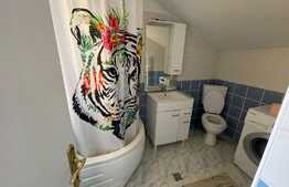 Apartament 1 camera, 38 mp, acces piscina, zona strazii Eftimie Murgu